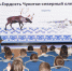 Мероприятие «Гордость Чукотки – северный олень» - Краеведческий музей