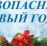Друзья, Новый год – долгожданный и любимый праздник. Пусть он пройдет без происшествий - Билибинский район