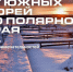 Внимание, друзья! - ЦБ Билибинского района